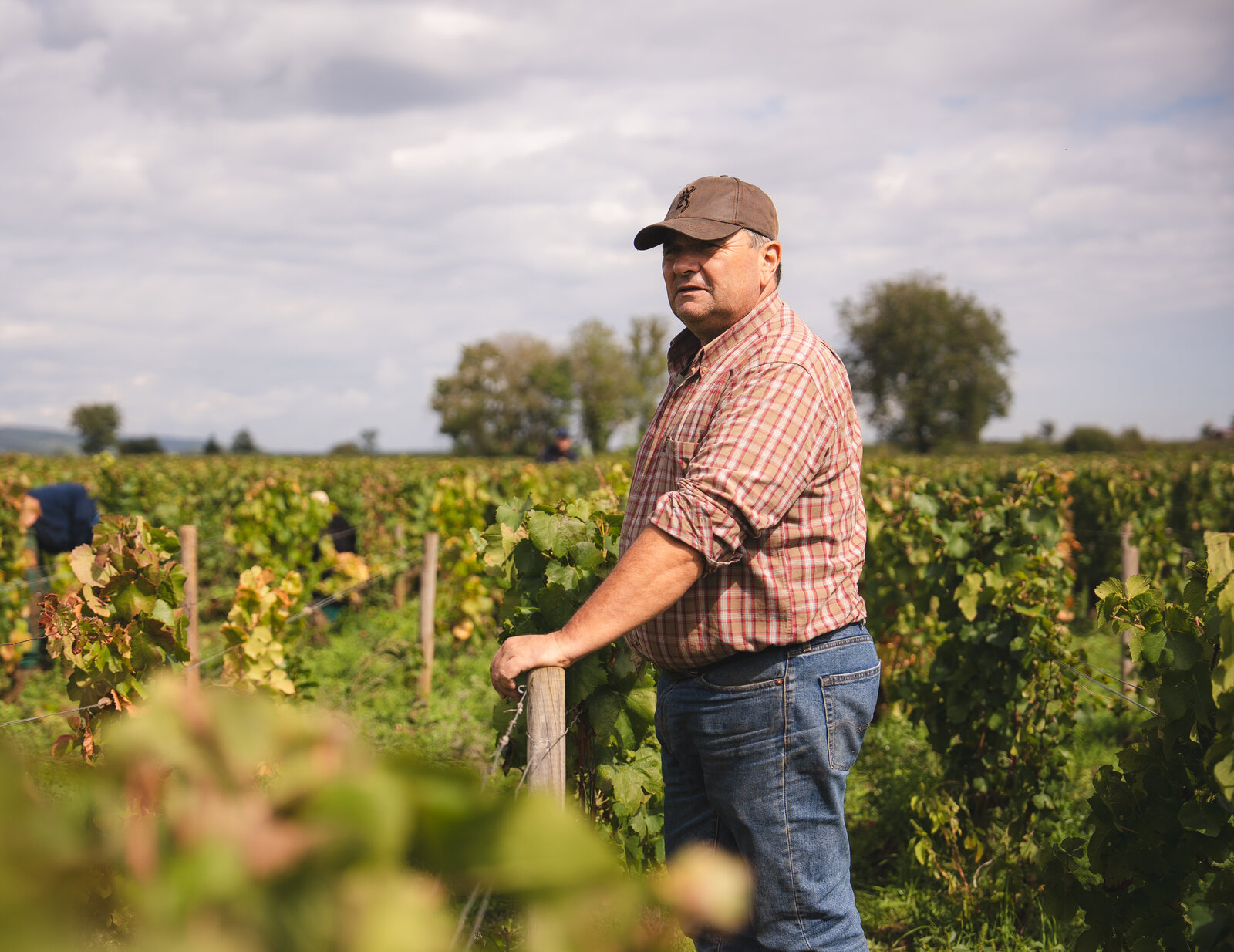 Thierry, le vigneron, dans ses vignes